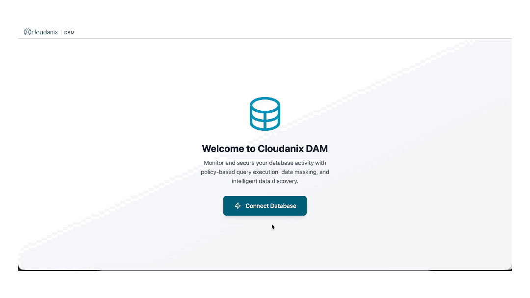 DAM query audit and masking interface